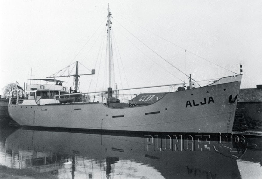 Alja_2025.jpg